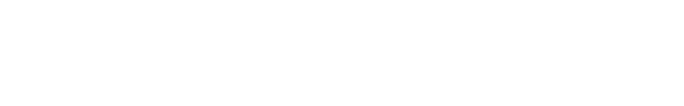  EXPERIENCE